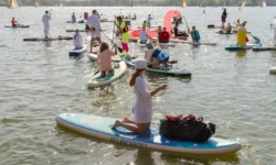 Яркое лето с Шкулёв Холдинг включает сап-фестивали в Москве и других городах yarkoe leto s shkulyov holding vklyuchaet sapfestivali v moskve i drugih gorodah-fabrec-ru-0