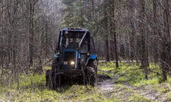 Денис Паслер сообщил о создании сети минерализованных полос в Свердловской области для защиты лесов denis pasler soobshhil o sozdanii seti mineralizovannyh polos v sverdlovskoj oblasti dlya zashhity lesov-fabrec-ru-0