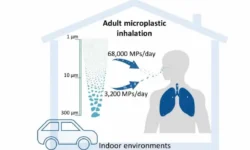 Исследование в PLOS One раскрывает количество пластмассовых частиц, попадающих в организм issledovanie v raskryvaet kolichestvo plastmassovyh chasticz popadayushhih v organizm-fabrec-ru-0