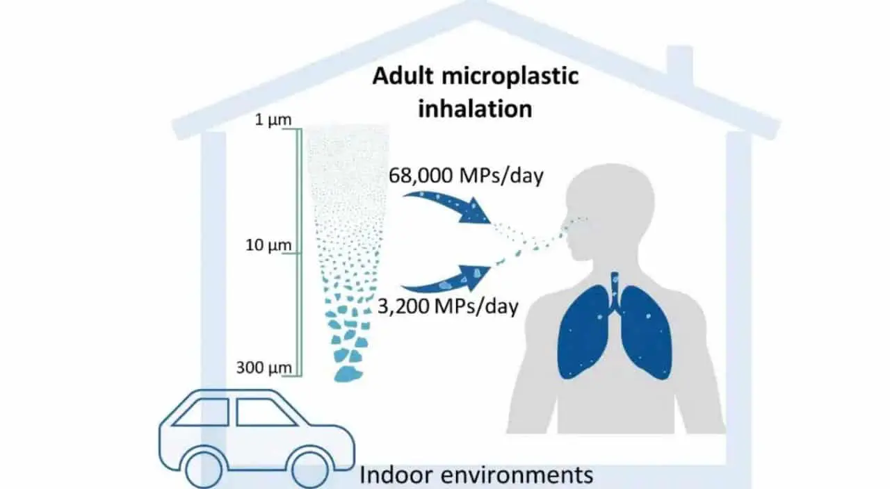 Исследование в PLOS One раскрывает количество пластмассовых частиц, попадающих в организм-0