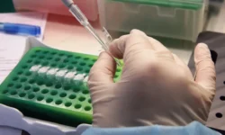 Кардиффский университет раскрыл роль генов SLC6A1 и KLC1 в возникновении шизофрении kardiffskij universitet raskryl rol genov 61 i 1 v vozniknovenii shizofrenii-fabrec-ru-0