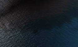 Макар Ромашкин из ПНИПУ создал уникальную технологию глубокой очистки нефти makar romashkin iz pnipu sozdal unikalnuyu tehnologiyu glubokoj ochistki nefti-fabrec-ru-0