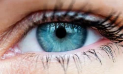 МГППУ и Елена Орехова раскрывают загадку визуального восприятия человека mgppu i elena orehova raskryvayut zagadku vizualnogo vospriyatiya cheloveka-fabrec-ru-0