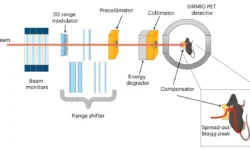 Терапия углеродом-11 дарит надежду в лечении остеосаркомы terapiya uglerodom11 darit nadezhdu v lechenii osteosarkomy-fabrec-ru-0