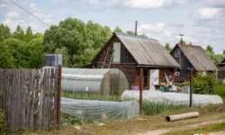 Василий Олейников и Надежда Локтионова разъясняют новые правила для СНТ и садоводов vasilij olejnikov i nadezhda loktionova razyasnyayut novye pravila dlya snt i sadovodov-fabrec-ru-0