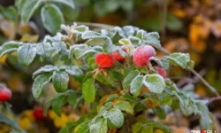 Гидрометцентр радует прогнозом об осенних изменениях в Москве и области gidrometczentr raduet prognozom ob osennih izmeneniyah v moskve i oblasti-fabrec-ru-0