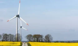 Глобальный рост инвестиций способствует ускорению "зеленого" перехода, по данным Boston Consulting Group globalnyj rost investiczij sposobstvuet uskoreniyu zelenogo perehoda po dannym -fabrec-ru-0