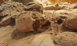 Исследования наследия пещеры Схул вдохновляют Израиля Гершковица issledovaniya naslediya peshhery shul vdohnovlyayut izrailya gershkovicza-fabrec-ru-0