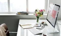 Harvard, Arzamas, «Лекториум ТВ» и другие предлагают новые онлайн-курсы lektorium tv i drugie predlagayut novye onlajnkursy-fabrec-ru-0