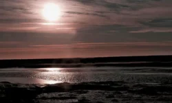 МГУ и Научный центр Изучения Арктики делают новый вклад в изучение Ямала mgu i nauchnyj czentr izucheniya arktiki delayut novyj vklad v izuchenie yamala-fabrec-ru-0