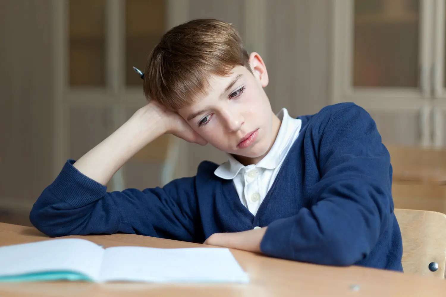 Минпросвещения и Рособрнадзор прокомментировали подсчёты СПЧ о нагрузке и ЕГЭ-0