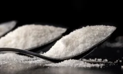 Оптимистичная Пальма Безопасности для Мозга от Университета Сан-Паулу optimistichnaya palma bezopasnosti dlya mozga ot universiteta sanpaulu-fabrec-ru-0