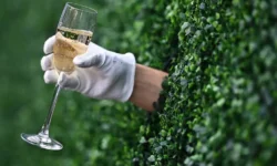 Партнерство «Абрау-Дюрсо» и «Коровка из Кореновки» создаёт особое мороженое partnerstvo abraudyurso i korovka iz korenovki sozdayot osoboe morozhenoe-fabrec-ru-0