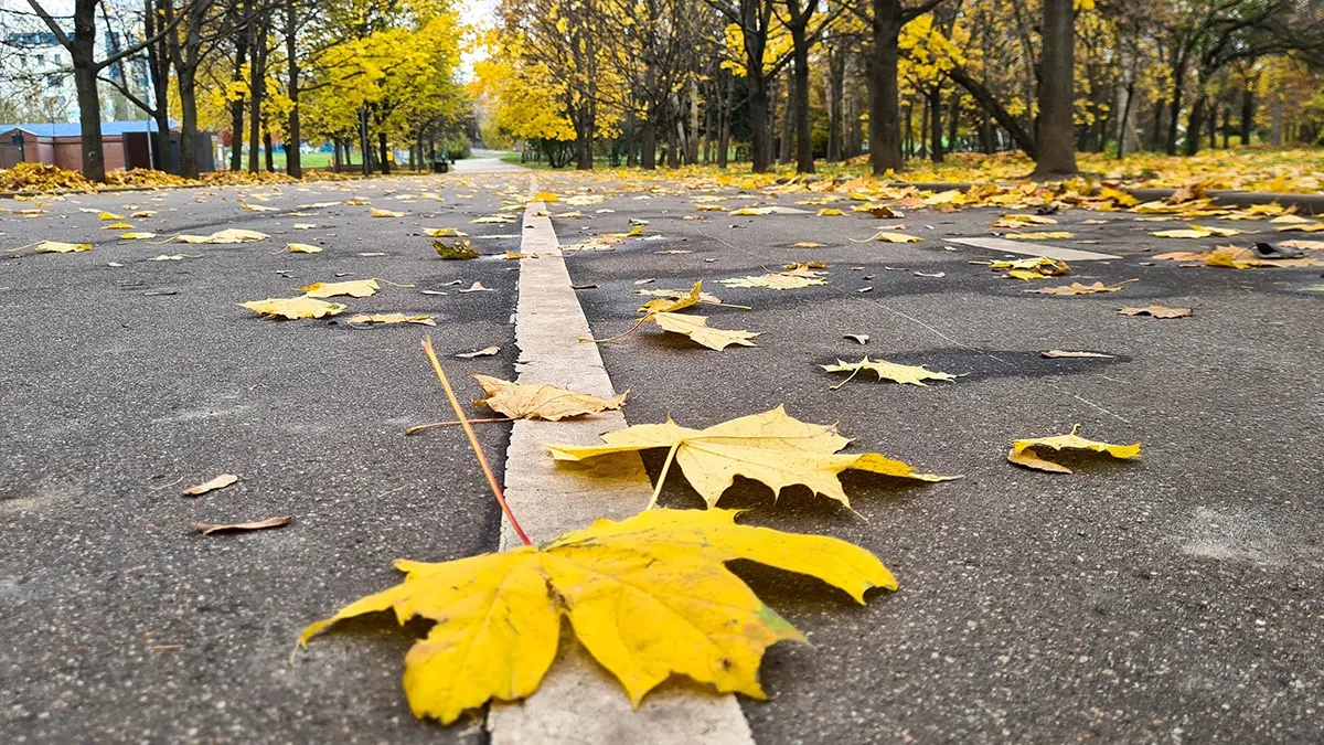 Погода в Москве в первых числах октября