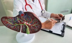 Университет Иллинойса в Урбана-Шампейн и Дьюка исследуют восстановление печени с помощью ESRP2 universitet illinojsa v urbanashampejn i dyuka issleduyut vosstanovlenie pecheni s pomoshhyu 2-fabrec-ru-0