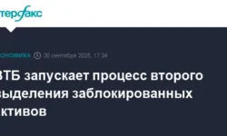 ВТБ готовит новое выделение активов при поддержке ЦБ для устойчивости vtb gotovit novoe vydelenie aktivov pri podderzhke czb dlya ustojchivosti-fabrec-ru-0