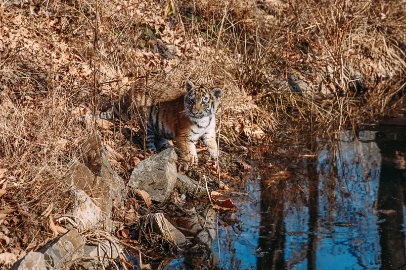 Фото: primamedia.ru