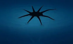 Баосин Сюй из Университета Вирджинии представляет будущее мягкой робототехники baosin syuj iz universiteta virdzhinii predstavlyaet budushhee myagkoj robototehniki-fabrec-ru-0