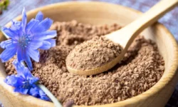 Цикорий способствует улучшению здоровья кишечника и иммунитета пожилых czikorij sposobstvuet uluchsheniyu zdorovya kishechnika i immuniteta pozhilyh-fabrec-ru-0