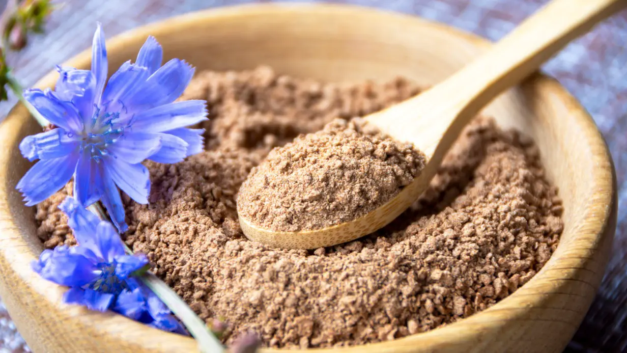 Чем полезен цикорий для пожилых людей