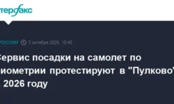 Дмитрий Григоренко анонсировал биометрический сервис в Пулково к 2026 году dmitrij grigorenko anonsiroval biometricheskij servis v pulkovo k 2026 godu-fabrec-ru-0