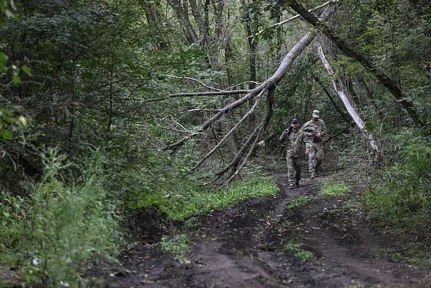 Вводная картинка