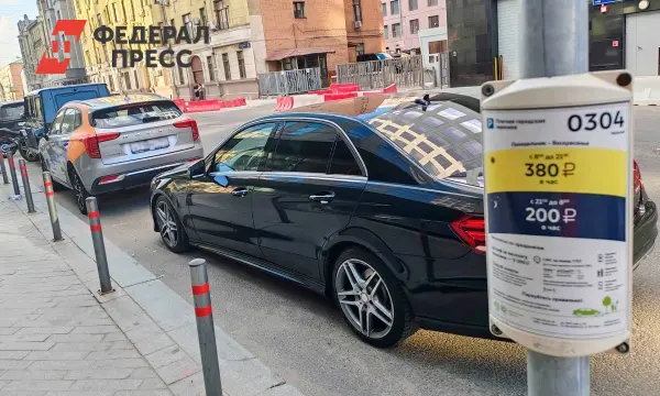 Дума Владивостока усиливает контроль за скрытыми номерами и эвакуацией-0