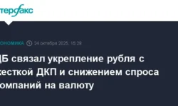 Эльвира Набиуллина рассказала о роли ДКП ЦБ в укреплении рубля elvira nabiullina rasskazala o roli dkp czb v ukreplenii rublya-fabrec-ru-0