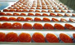 Илья Шестаков из Росрыболовства обещает доступные красную рыбу и икру в новом году ilya shestakov iz rosrybolovstva obeshhaet dostupnye krasnuyu rybu i ikru v novom godu-fabrec-ru-0