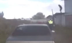 Ирина Волк помогла полиции задержать нарушителя с помощью полена irina volk pomogla policzii zaderzhat narushitelya s pomoshhyu polena-fabrec-ru-0