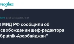 МИД РФ сообщает об успешном освобождении шеф-редактора mid rf soobshhaet ob uspeshnom osvobozhdenii shefredaktora-fabrec-ru-0