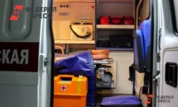 Михаил Игнатов уверенно опровергает версию Павла Дурова о чудесном яде через стены mihail ignatov uverenno oprovergaet versiyu pavla durova o chudesnom yade cherez steny-fabrec-ru-0