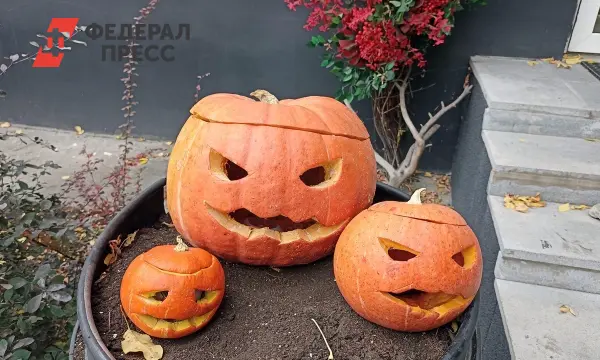 Михаил Иванов выступил за защиту традиционных ценностей России от Хэллоуина-0