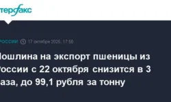 Минсельхоз снизит пошлину на экспорт пшеницы, что поддерживает рынок minselhoz snizit poshlinu na eksport psheniczy chto podderzhivaet rynok-fabrec-ru-0