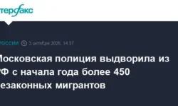 Московская полиция усилила работу с иностранными гражданами и вопросами гражданства РФ moskovskaya policziya usilila rabotu s inostrannymi grazhdanami i voprosami grazhdanstva rf-fabrec-ru-0