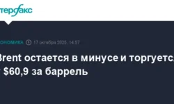 Напряжение на нефтяном рынке. Цена Brent достигла $60,9 перед встречей Путина и Трампа napryazhenie na neftyanom rynke czena dostigla 609 pered vstrechej putina i trampa-fabrec-ru-0