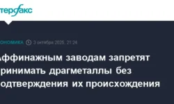 Правительство и Госдума усиливают правила ГИИС ДМДК для рынков драгметаллов pravitelstvo i gosduma usilivayut pravila giis dmdk dlya rynkov dragmetallov-fabrec-ru-0