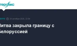 Решительные шаги Литвы и Инги Ругинене на границе с Белоруссией reshitelnye shagi litvy i ingi ruginene na granicze s belorussiej-fabrec-ru-0