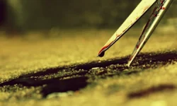 Росгвардия предотвратила угрозу жизни женщины при задержании в Одинцово rosgvardiya predotvratila ugrozu zhizni zhenshhiny pri zaderzhanii v odinczovo-fabrec-ru-0