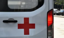 Роспотребнадзор и Евгения Лудупова координируют поддержку жителей Бурятии rospotrebnadzor i evgeniya ludupova koordiniruyut podderzhku zhitelej buryatii-fabrec-ru-0