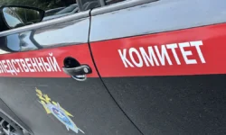 Следственный комитет РФ сообщает новые подробности о семье Усольцевых в Красноярском крае sledstvennyj komitet rf soobshhaet novye podrobnosti o seme usolczevyh v krasnoyarskom krae-fabrec-ru-0