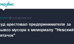Суд в Петербурге арестовал Марата Асланова за незаконную свалку у "Невского пятачка" sud v peterburge arestoval marata aslanova za nezakonnuyu svalku u nevskogo pyatachka-fabrec-ru-0