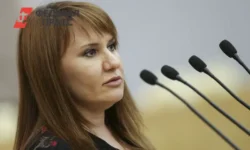 Светлана Бессараб из Госдумы рассказала о расписании ноябрьских выходных svetlana bessarab iz gosdumy rasskazala o raspisanii noyabrskih vyhodnyh-fabrec-ru-0