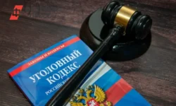 Тюменский областной суд вынес приговор за предательство в пользу ВСУ tyumenskij oblastnoj sud vynes prigovor za predatelstvo v polzu vsu-fabrec-ru-0