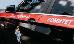 УФСБ России и Следственный комитет пресекли заговор в колонии Ростовской области ufsb rossii i sledstvennyj komitet presekli zagovor v kolonii rostovskoj oblasti-fabrec-ru-0