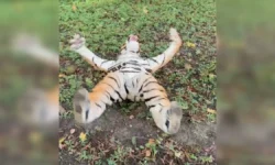 В Калининградском зоопарке проводятся необычные учения для сотрудников v kaliningradskom zooparke provodyatsya neobychnye ucheniya dlya sotrudnikov-fabrec-ru-0