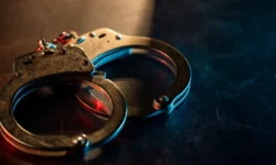 В Санкт-Петербурге пенсионерка погибла, внука задержал СК России v sanktpeterburge pensionerka pogibla vnuka zaderzhal sk rossii-fabrec-ru-0