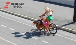 Владивосток переживает великолепные преобразования от набережной до Русского острова vladivostok perezhivaet velikolepnye preobrazovaniya ot naberezhnoj do russkogo ostrova-fabrec-ru-0