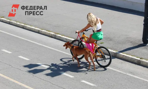 Владивосток переживает великолепные преобразования от набережной до Русского острова-0