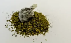 Во Владивостоке и Уссурийске УМВД России по Приморскому краю совместно с Росгвардией продолжают борьбу с наркотиками vo vladivostoke i ussurijske umvd rossii po primorskomu krayu sovmestno s rosgvardiej prodolzhayut borbu s narkotikami-fabrec-ru-0